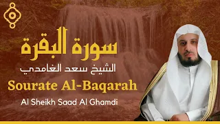 Sourate AL-Baqarah (La Vache) - Cheikh Saad AL GHAMDI