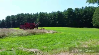 Massey Ferguson 205 combine fun!