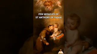 Few Miracles of St Anthony of Padua #shorts #christianity #catholic