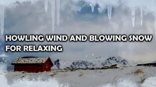 Blizzard in Norway | Howling wind and blowing snow for Relaxing | Study | Sleeping | Winter Ambience