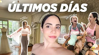 Mi vida últimamente - Un inesperado cambio de planes │ What The Chic