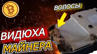 Волосатая видюха! Обслуживание видеокарты при майнинге за 5 минут | Греется видеокарта