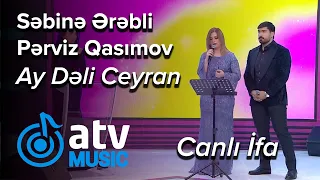 Səbinə Ərəbli & Pərviz Qasımov - Ay Dəli Ceyran CANLI İFA  (Nanəli)