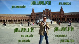 La increíble Plaza de España Sevilla 🏛  | Turismo de Sevilla | Sevilla España lugares de interés