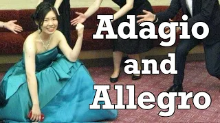 シューマン / アダージョとアレグロ〜Schumann / Adagio and Allegro op.70