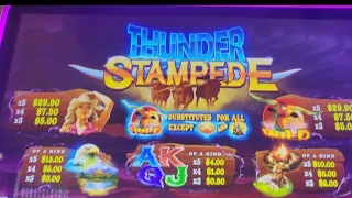 THUNDER STAMPEDE BONUS