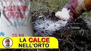 LA CALCE NELL'ORTO