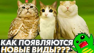 КАК ЭВОЛЮЦИЯ СОЗДАЁТ НОВЫЕ ВИДЫ? | Происхождение видов | Ученые не скрывают?