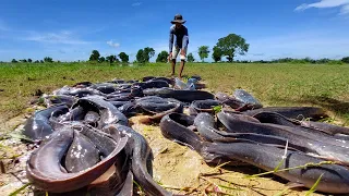 oh my god! a fisherman catch a lot of fish when flood with best hand skill