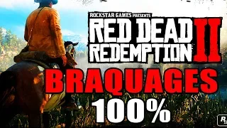 RED DEAD REDEMPTION 2 : 100% -  all robberies ( train, store, stagecoach, home )