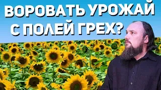 Воровать урожай с полей грех? Священник Максим Каскун