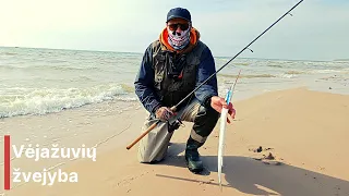 Vėjažuvės ir vėjažmogis. Žvejyba jūroje / Garfish fishing