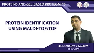 Protein identification using MALDI-TOF/TOF