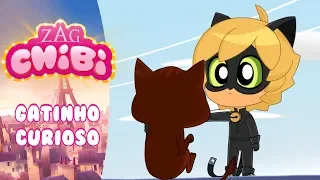 Gatinho Curioso | Miraculous Chibi | Miraculous: As Aventuras de Ladybug | Mundo Gloob