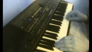 Gigi D'Agostino L'Amour Toujours Yamaha PSR 510 Cover.