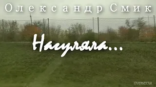 Олександр Смик "Нагуляла"
