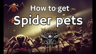 How To Get SPIDER PETS - Baldurs Gate 3