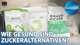 Stevia, Erythrit, Xylit: Leichte Zuckeralternativen oder ganz schön ungesund?