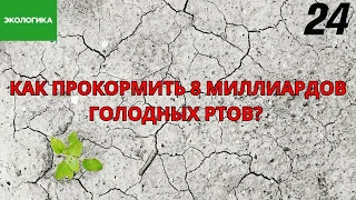 Голод не тётка, в лес не убежит. Как прокормить 8 млрд человек в продовольственный кризис |Экологика