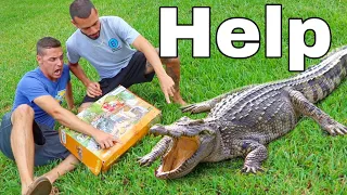 Crocodile Kit Comes ALIVE With Water!!