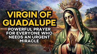 🛑 POWERFUL PRAYER OF THE VIRGIN OF GUADALUPE FOR EVERYONE WHO NEEDS AN URGENT MIRACLE