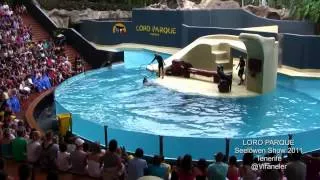 LORO PARQUE шоу морских львов 2011 год. Tenerife.