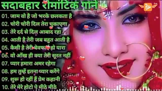 90's 80's Songs🌺सदाबहार गाने 🌹Evergreen Songs🌺Udit Narayan-Alka Yagnik Songs