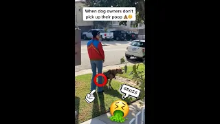 Lady picks up dog POOP with NO BAG! #shorts