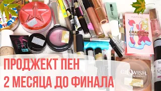 8 ОТЧЕТ ПО PROJECT PAN | 2 МЕСЯЦА ДО ФИНАЛА | ДОБИВАЕМ КОСМЕТИКУ | ПРОДЖЕКТ ПЕН