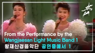 왕재산경음악단 공연중에서 1 (1995) / From the Performance by the Wangjaesan Light Music Band 1 (1995)