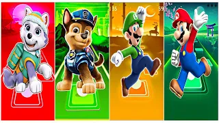 Everest 🆚 Chase 🆚 Luigi 🆚 Super Mario 🆚 Who Will Win?