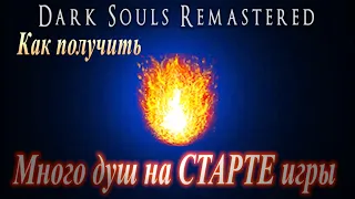 ГАЙД Как получить МНОГО ДУШ на СТАРТЕ игры в Dark Souls Remastered для прокачки билда персонажа