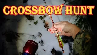Crossbow Deer Hunt - We Have Good Blood
