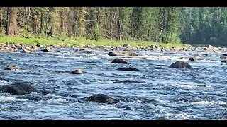 Север Красноярского края 2019. Часть 2.