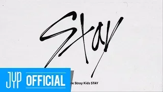 Stray Kids(스트레이 키즈) FANDOM NAME "STAY"