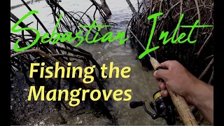 Fishing the Mangroves - Exploring Sebastian Inlet