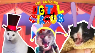 The Amazing Digital Circus - Cat Version | Meme