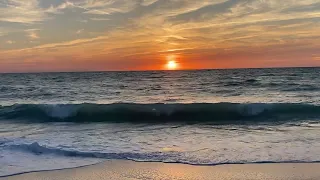 Beach sunset, nature, ocean, wildlife, relax