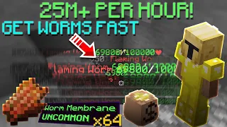 How to make 25m+ per hour from lava fishing! Get worm membranes fast! | Hypixel Skyblock