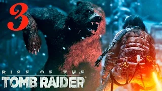 Прохождение Rise of the Tomb Raider: Часть 3: Холодный прием: Сибирь