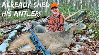 BIG STUD Pennsylvania Mountain Buck DOWN! (RIFLE SEASON)