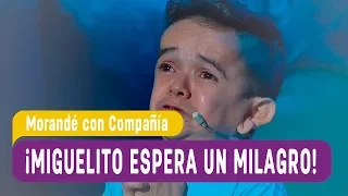 ¡Miguelito espera un milagro! - Morandé con Compañía 2017