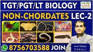 TGT/PGT - LT BIOLOGY || NON-CHORDATES (PAID CLASS-2) || Aamir Siddiqui || THE BIO & CIVIL JUNCTIONS