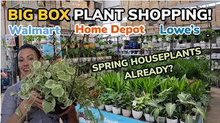 SPRING HOUSEPLANTS?! Lowe's, Walmart & Home Depot Big Box Plant Shopping & Plant Haul -Charlotte, NC