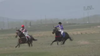 Скачка ЧКВ Райкова 2016  (Лошади-Horse–Animal-racing-конь-смотреть-онлайн-скачки)