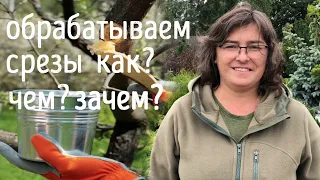 Как, чем и зачем обрабатываем срезы. Садовый вар и прочие замазки.