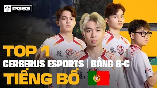 🏆 Caster Brazil cháy hết mình với Himass - Cơn mưa lời khen dành cho "Quái Vật" của CES