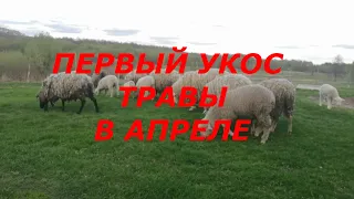 ЖИЗНЬ В ДЕРЕВНЕ//И снова здравствуйте//