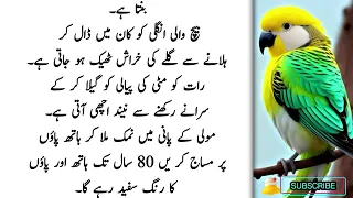 Hakeem Luqman quotes | Achi batein in urdu | dua quotes in urdu |Urdu tips Aqwal e zareen |