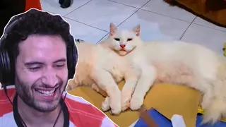 NymN reacts to UNUSUAL MEMES V223